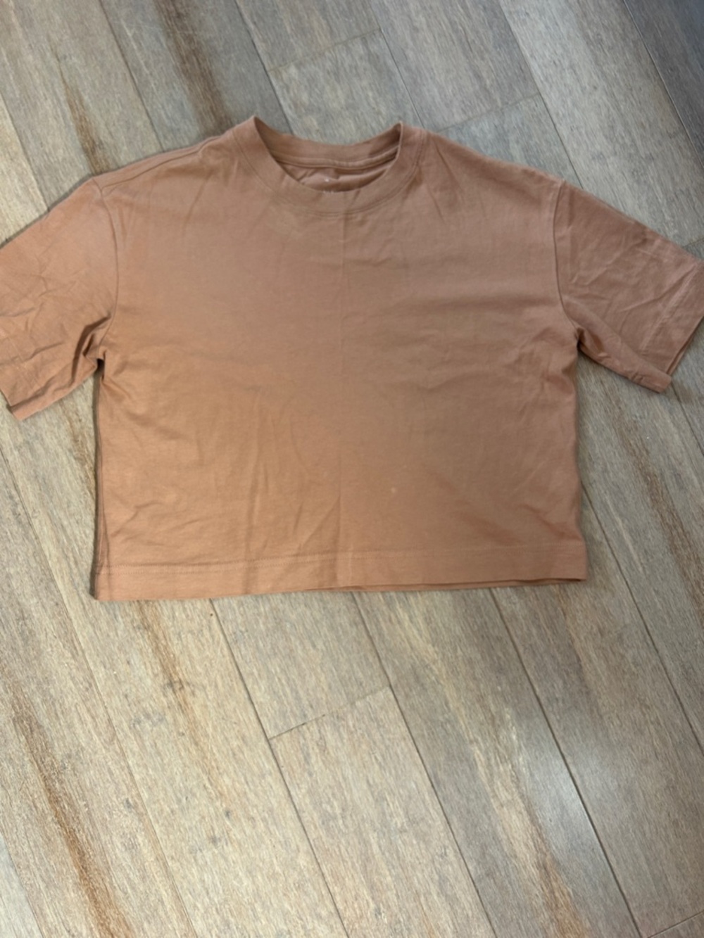 Everlane Cropped Tee in Terracotta size XS runs large organic cotton